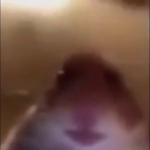 Meet your Posher, Alaina